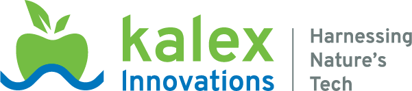 Kalex Innovations Logo